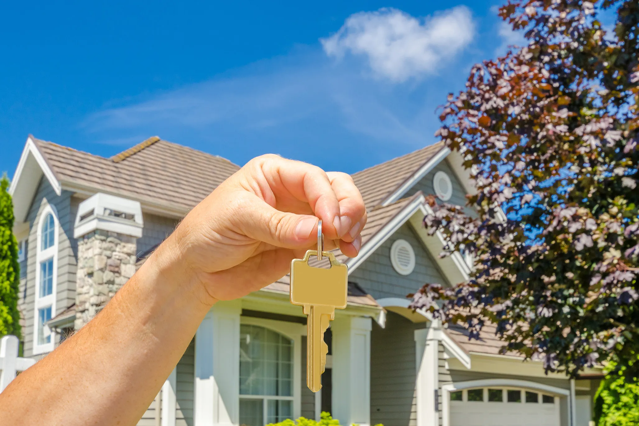 Homes for Sale Banner