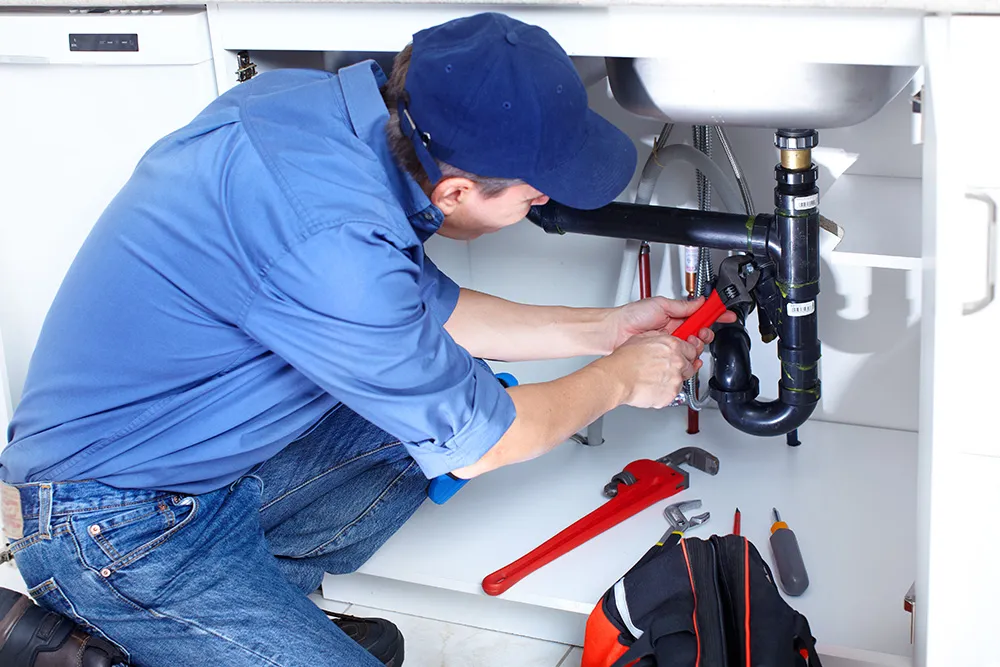 Raleigh Property Maintenance